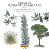 &agrave;lbum De Flora De Les Balears Volum 2