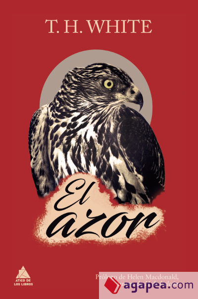 El azor