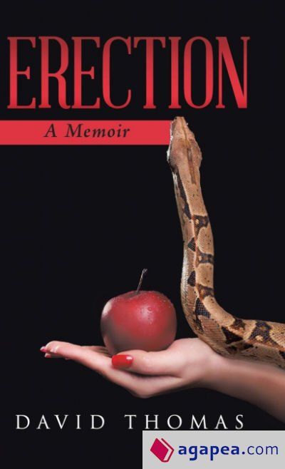 Erection Erection