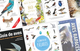 Los mejores libros de aves y ornitología que debes leer