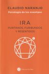 ira - psicologia de los eneatipos