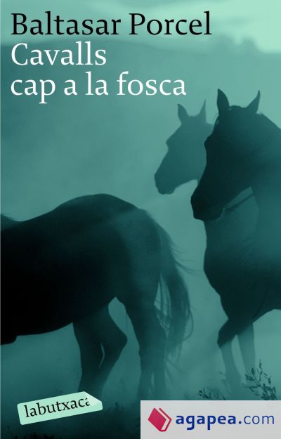 Cavalls cap a la fosca