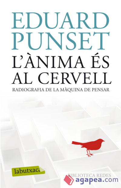 L&#39;ànima és al cervell