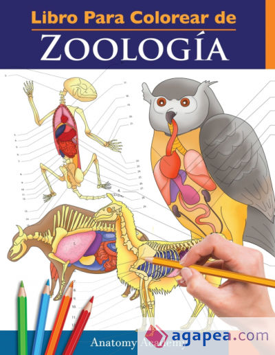Libro Para Colorear de Zoología