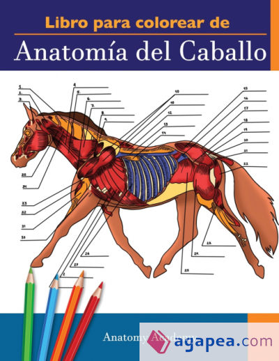 Libro para colorear de Anatomía del Caballo