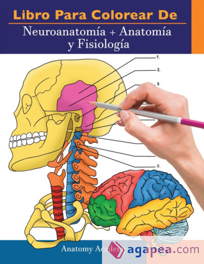 Libro para colorear de Neuroanatomía + Anatomía y Fisiología