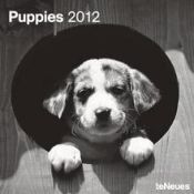 Portada de Calendario 2012. Puppies