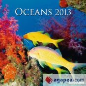 Portada de Calendario 2013. Oceans